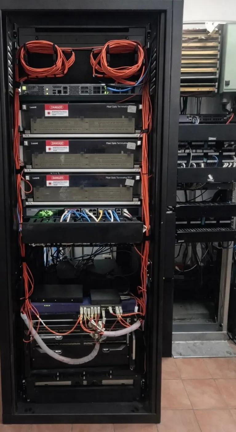 Site organizado después de reingeniería